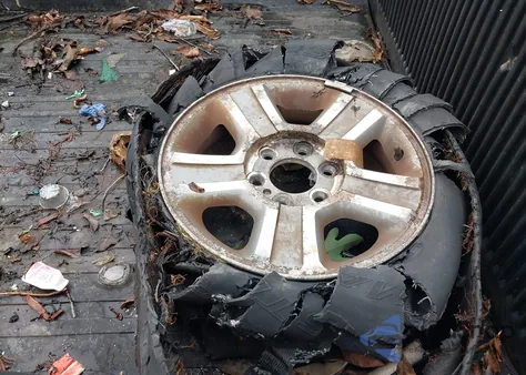 2006 Ford F-150 Fx4/Lariat/Xl/Xlt z USA, uszkodzony, nr VIN 1FTPX14V66NB60515